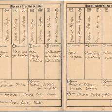 CCF_000047_003_Ahnenpass