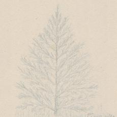 CCF_000482_weihnachtachtskarteOpaKuhnfürTinaundSanni_1966