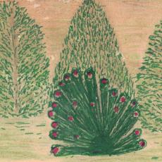 CCF_000486_WilliyKuhn_Zeichnung_RhododrenblüteHasenwinkel