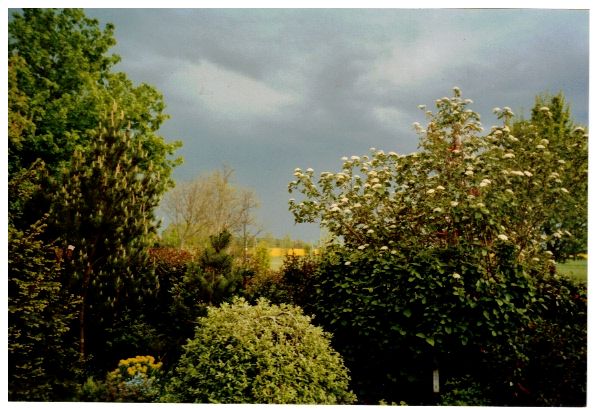 CCF_000366_MaiLübow2005_Cover001