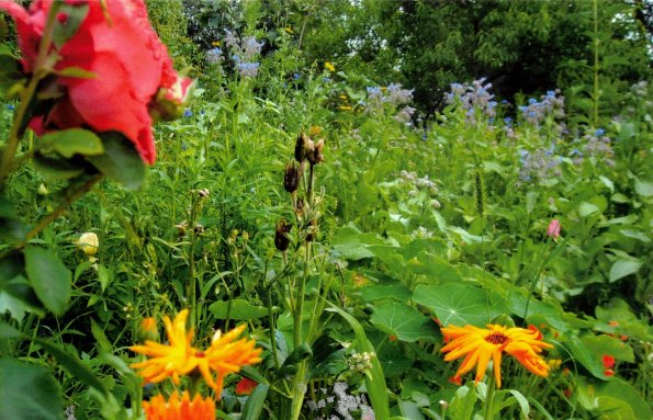 CCF_000376_Sommer_Lübow2011_Cover004