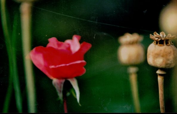 CCF_000380_Lübow_Herbst_2003_Cover006