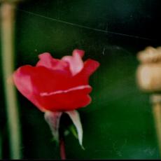 CCF_000380_Lübow_Herbst_2003_Cover006