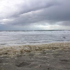 Digital Camera P42001