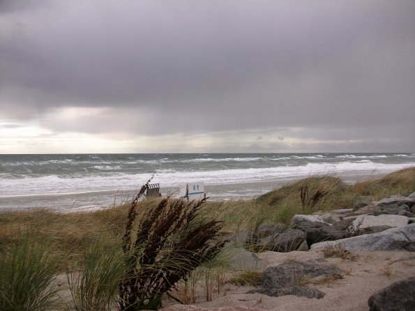 Digital Camera P42001