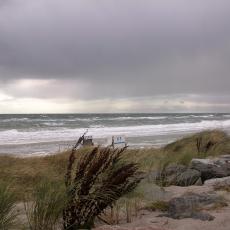 Digital Camera P42001