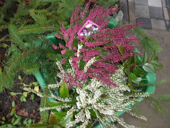 Digital Camera P42001