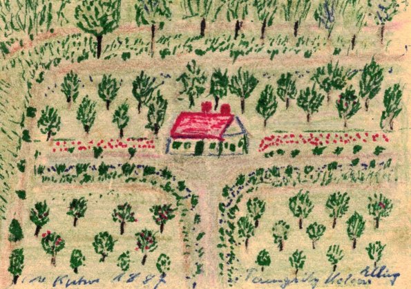 CCF_000478_Willykuhn_Zeichnung_tannengrundstückKolosch_Elbing1887