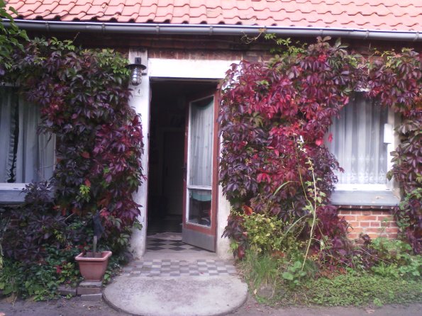 IMG_20170927_155333 (1)