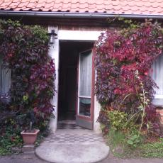 IMG_20170927_155333 (1)