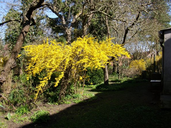 Digital Camera P42001