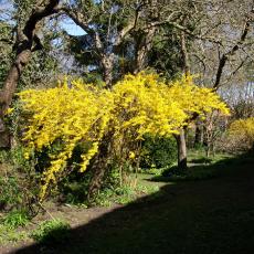 Digital Camera P42001