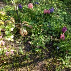 Digital Camera P42001