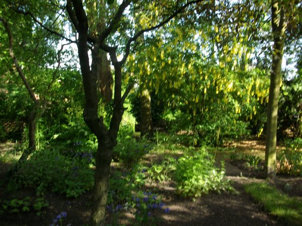 Digital Camera P42001