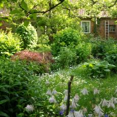 Digital Camera P42001