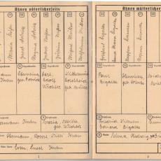 CCF_000047_003_Ahnenpass