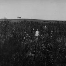 CCF_000001_sandbauer_lotte undOpaKuhn