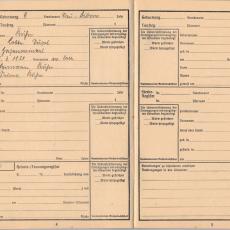 CCF_000047_004_Ahnenpass