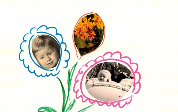 CCF_000461_jungpflanzenaufzucht1955