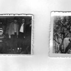 Neu_1_CCF_000185_Suchbilder_Fam.Kuhn und Bösch1957_001