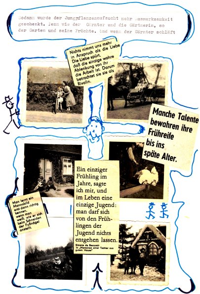 CCF_000463_jungpflanzenaufzucht1955_1959