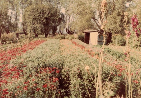 CCF_000653Lübow_1976