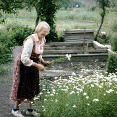 CCF_000090_Lübow1986