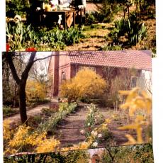 CCF_000214_Lübow_Frühling1988