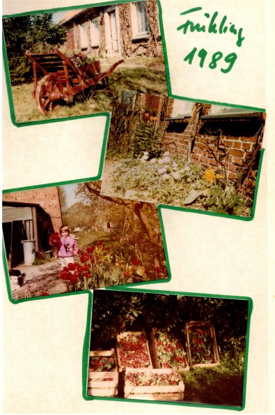 CCF_000574_Frühöling1989_001