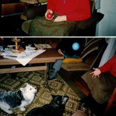 CCF_000094_HummelundBiene1991