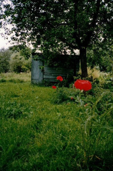 CCF_000096_Lübow1991