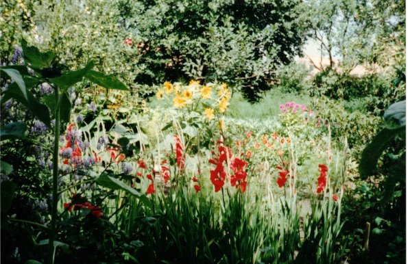 Neu_1_CCF_000347_WochenmarktWismar1991_02