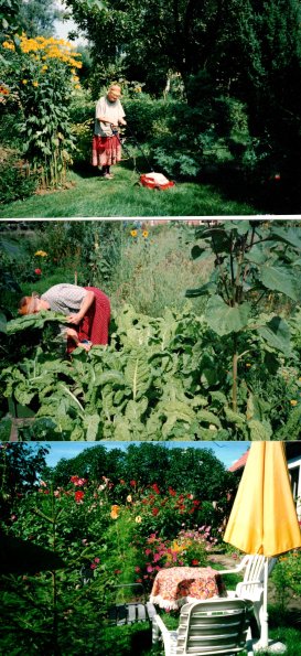 CCF_000441_OmaimGarten1994