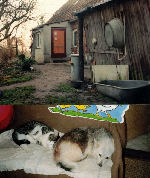 CCF_000100_Lübow1995