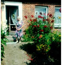 CCF_000038_Sommer 2000