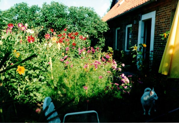 CCF_000039_Lübow_Sommer_2000