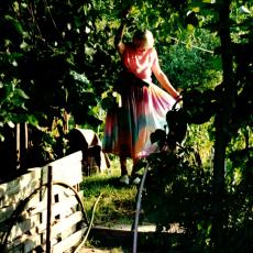 CCF_000447_gartenfee_2001