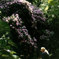 CCF_000453_Hasenwinkel2001_03