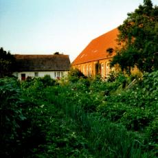 CCF_000583_Heidhof2001_001