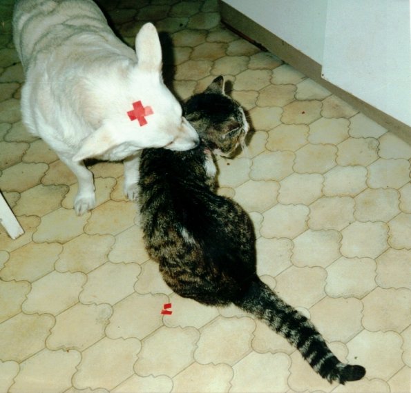 CCF_000040_Whitie und Sylvester_2002