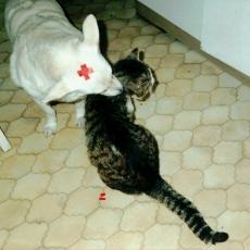 CCF_000040_Whitie und Sylvester_2002