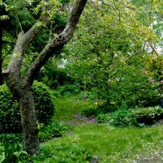 CCF_000575_Lübow_2002_001