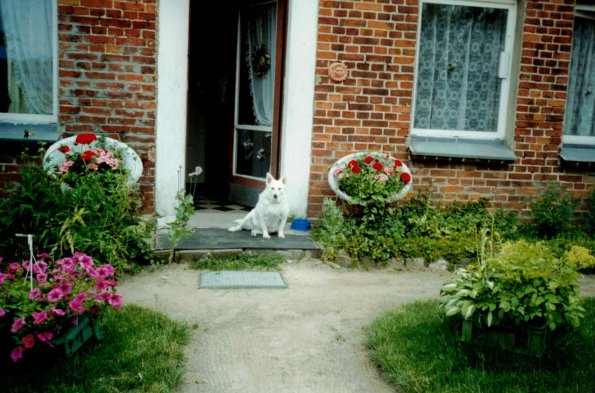 CCF_000381_Sommer_Lübow_Whyty_2003