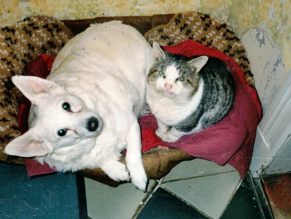 CCF_000614_Lübow_2003