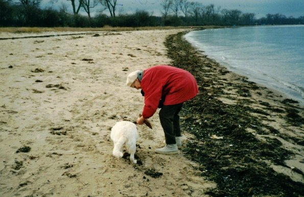 CCF_000617_Winter2003