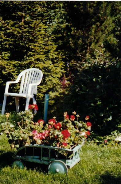 CCF_000013_garten_2004