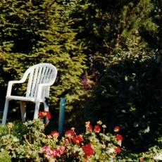 CCF_000013_garten_2004