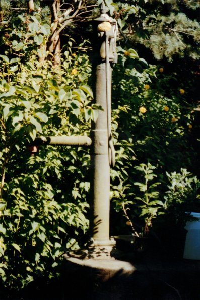 CCF_000014_garten_2004