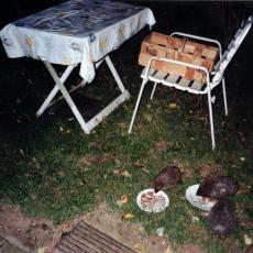 CCF_000504_Lübow_2005