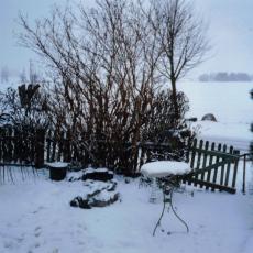 CCF_000512_2005_Winter